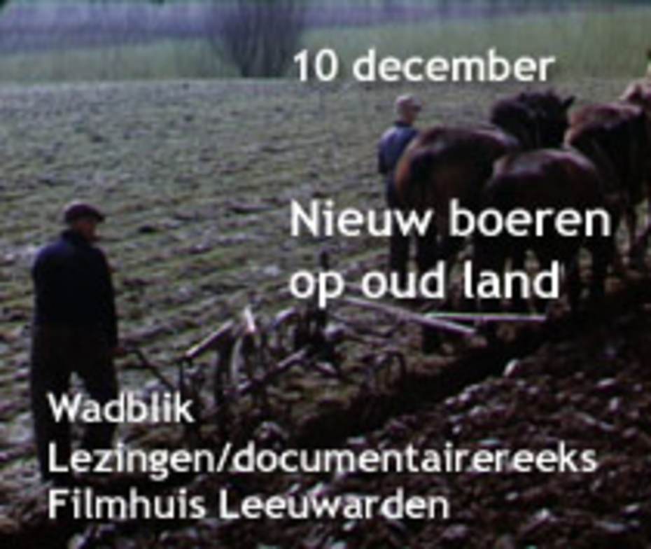 WadBlik  10 december