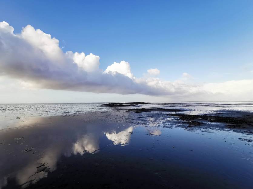 Wolkenpartij spiegelt in het wad nabij mosselbank. Foto: AB
