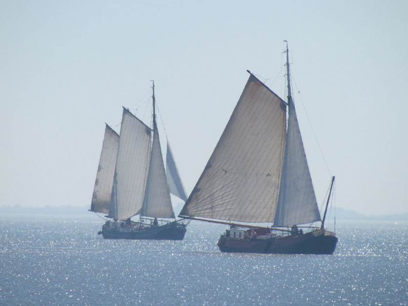 Zeilschepen op het wad