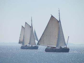 Zeilschepen op het wad