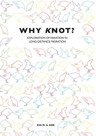 Thesis Eva Kok (2023) Thesis Eva Kok (2023)