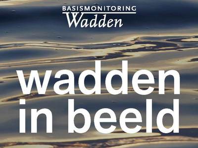 Cover Wadden in Beeld 2024-2025