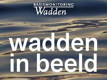 Cover Wadden in Beeld 2024-2025