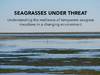 Cover thesis Laura Soissons