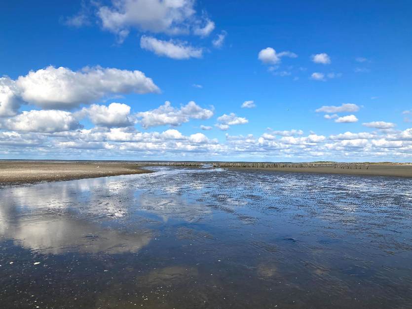 het wad met spiegeling en wolken. Foto: TS
