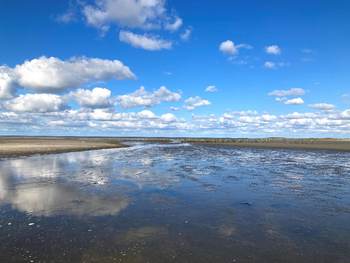 het wad met spiegeling en wolken. Foto: TS