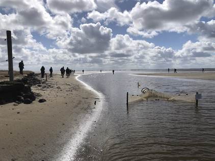 Excursion to Schiermonnikoog. Photo: Johan Krol