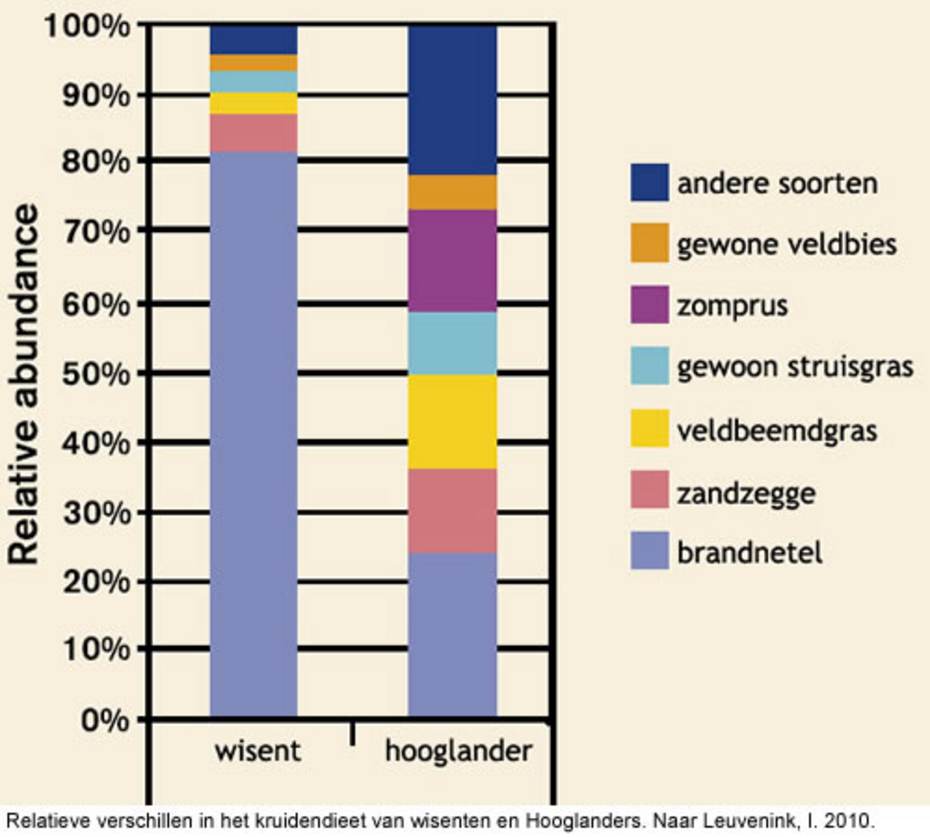 relatieve verschillen in het kruidendieet van wisenten en Hooglanders. Naar Leuvenink, I. 2010. Endozoochorous Seed Dispersal by European Bison and Scottish Highland Cattle in a Dutch Coastal Dune Area (summer). MSc thesis, Wageningen Universiteit.