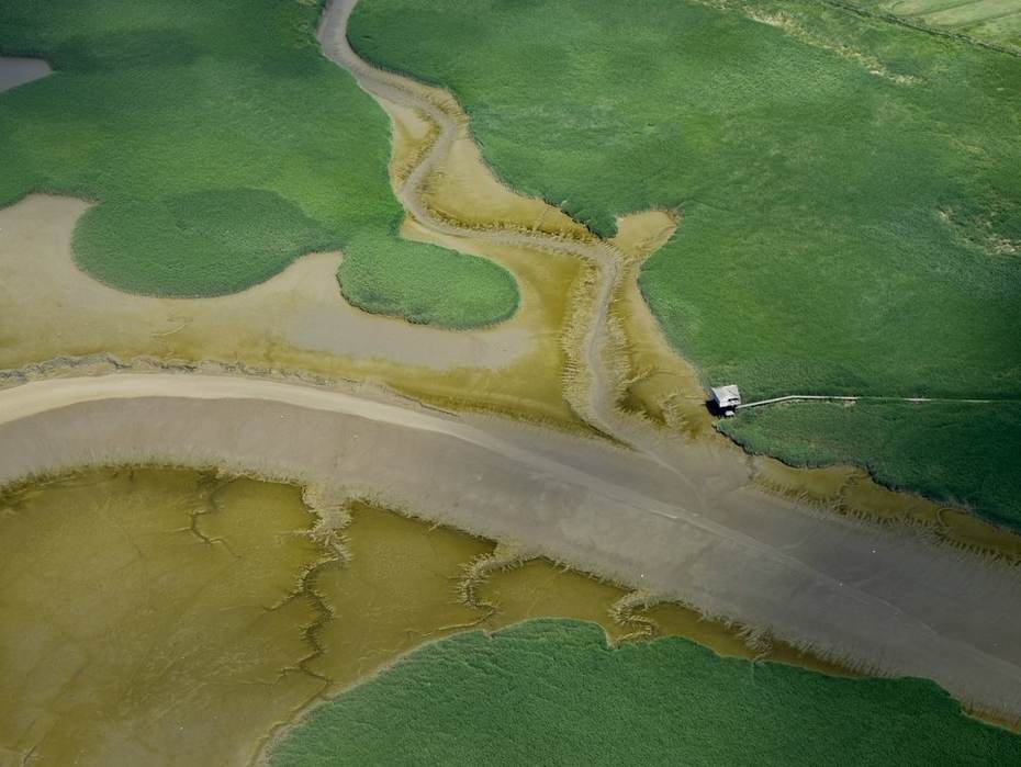 Luchtbeeld Eems-Dollard. Foto: Henk Postma