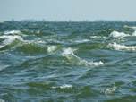 De Waddenzee bij ?t Horntje, Texel. Foto: fotofitis.nl