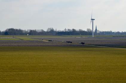 De groepen door de polder op weg naar Kloosterburen
