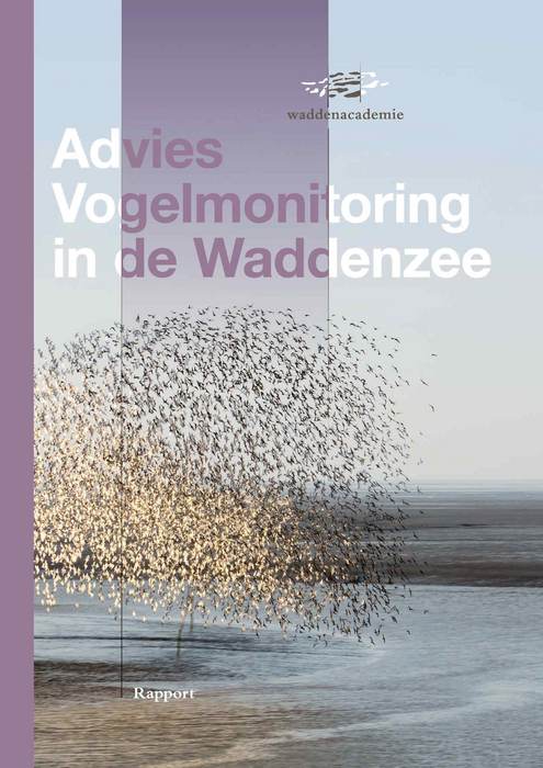 Cover Advies Vogelmonitoring in de Waddenzee. Achtergrondbeeld: Jan Huneman