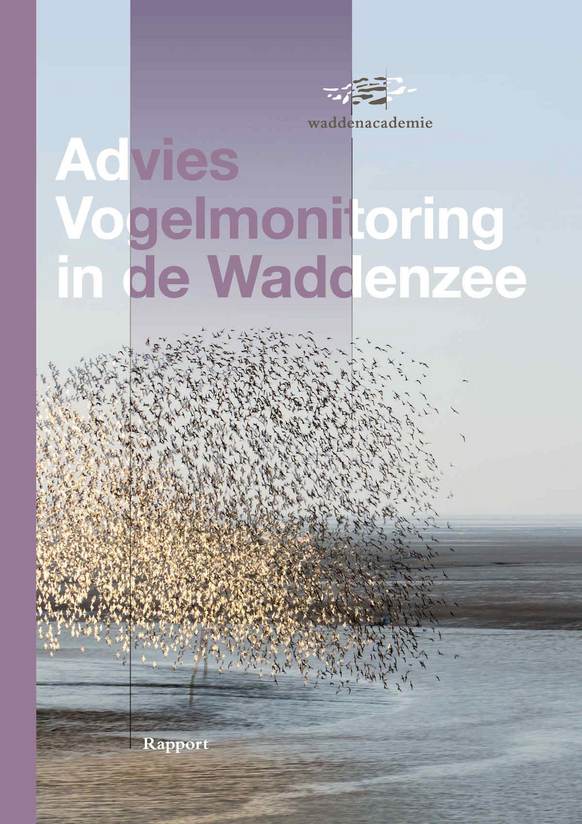 Cover Advies Vogelmonitoring in de Waddenzee. Achtergrondbeeld: Jan Huneman