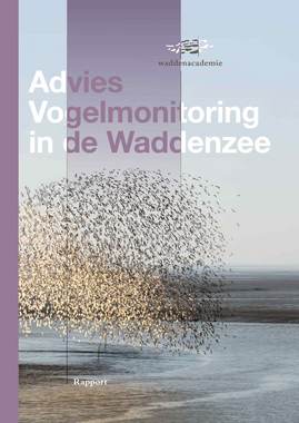 Cover Advies Vogelmonitoring de in de Waddenzee