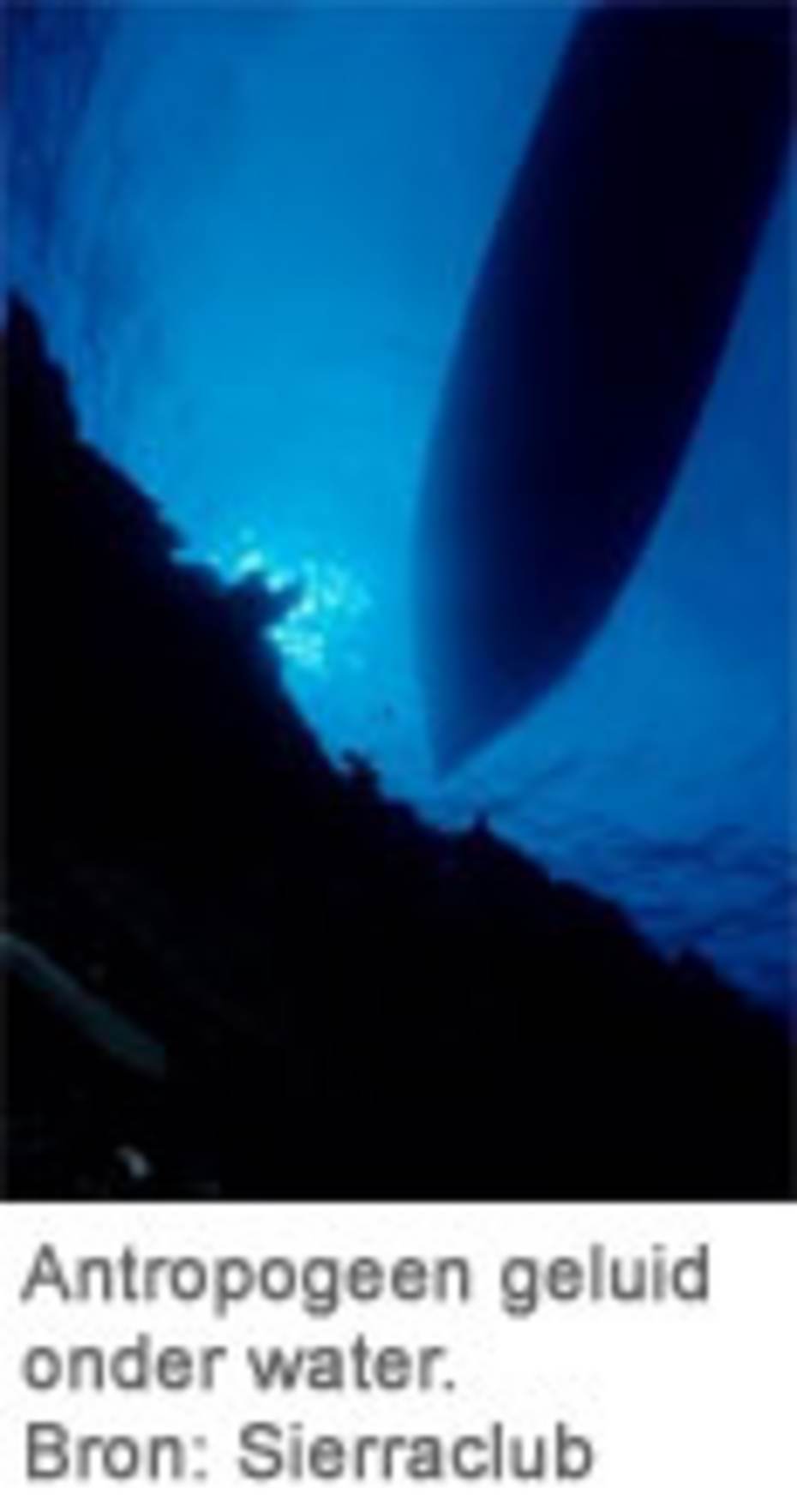 Antropogeen geluid onder water. Bron: Sierraclub