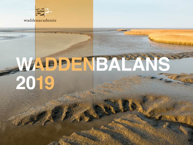 Cover Waddenbalans 2019