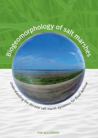 Cover thesis Pim Willemsen Cover thesis Pim Willemsen