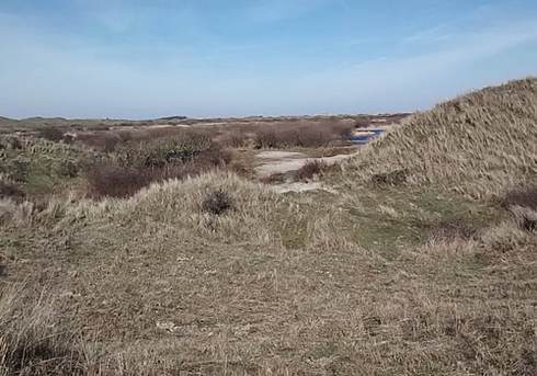 [Translate to english:] Duinen Oost_Ameland