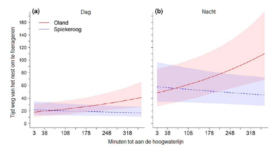 In deze twee grafieken is te zien dat nestelende scholeksters op Oland vaak een langere tijd van het nest weg is om voedsel te verzamelen, in vergelijking met de vogels op Spiekeroog (a). Ook is te zien dat de dieren op beide eilanden in de nacht meer tij