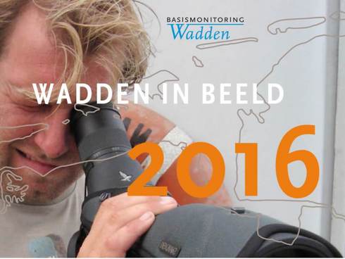 Cover Wadden in Beeld 2016