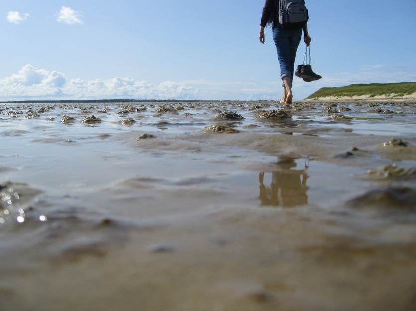 Posterbeeld Sympsoium Duurzaam toerisme in het Waddengebied