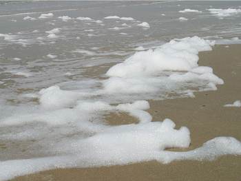 Schuim op het strand door algenbloei. Foto: https://beeldbank.rws.nl, Rijkswaterstaat / Jan van den Broeke