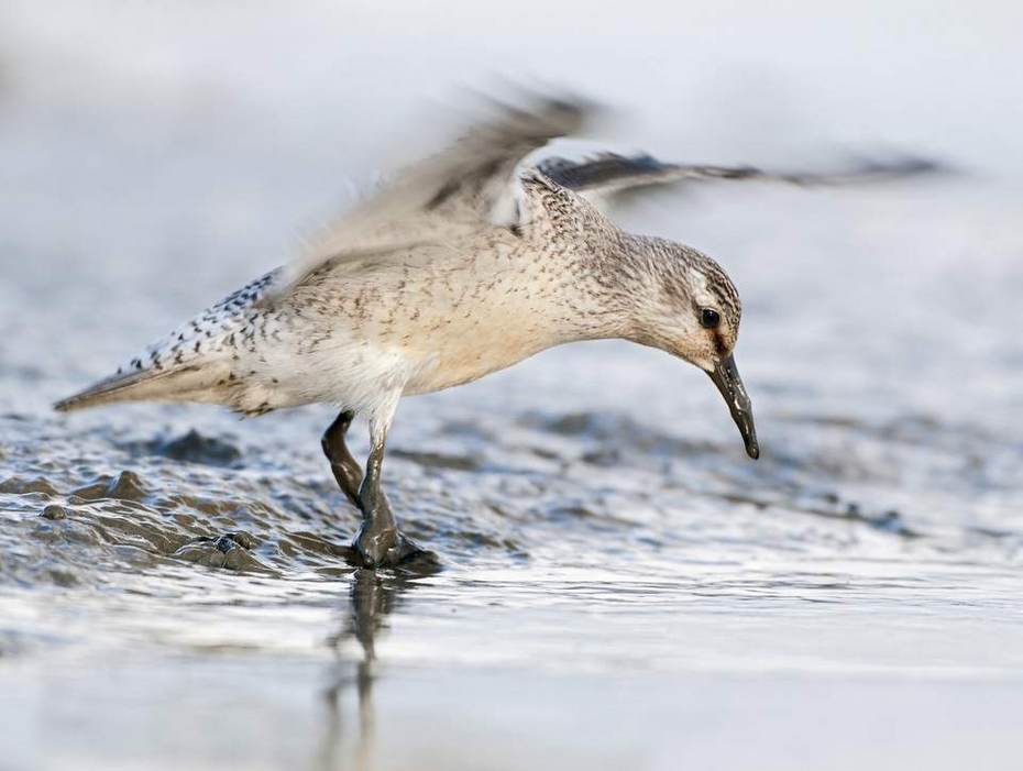 Kanoet. Foto: Marcel van Kammen