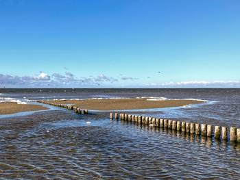 De taal van het Waddengebied is net zo dynamisch als het gebied zelf