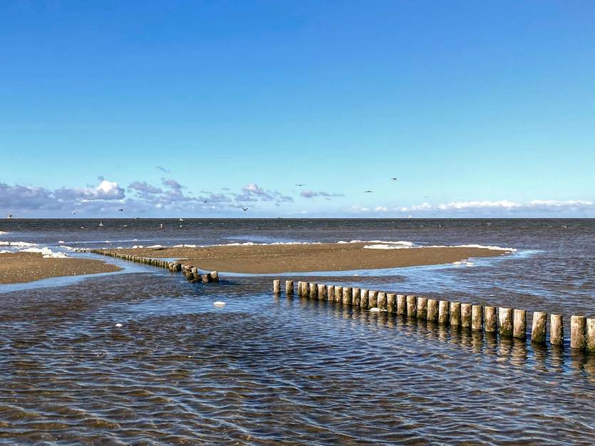 De taal van het Waddengebied is net zo dynamisch als het gebied zelf