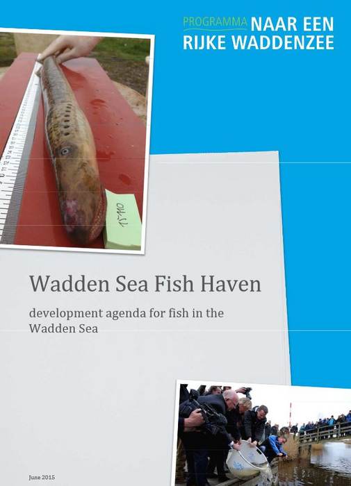 [Translate to english:] Cover rapport