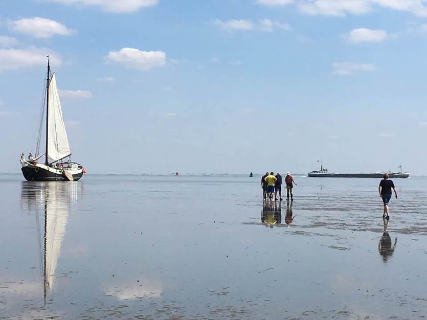Droogvallen op het wad bij Harlingen. Foto: Waddenacademie