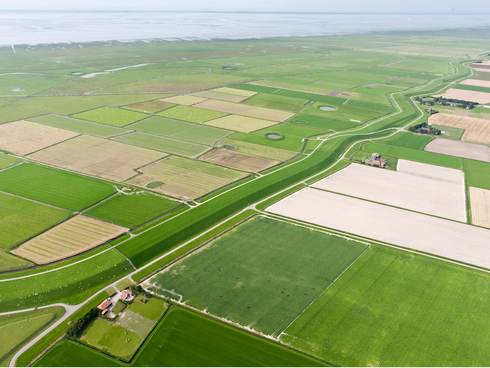 Het landschap langs de Friese Waddenzeedijk ter hoogte van Marrum. Foto: Joop van Houdt, Beeldbank RWS