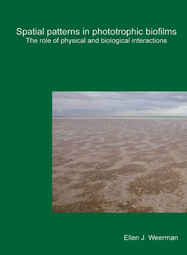 Cover thesis