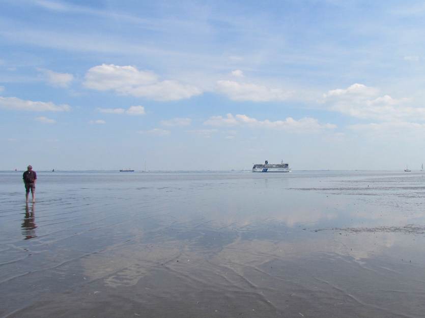 Droogavllende wadplaat met op de achtergrond de veerboot en zeilschepen