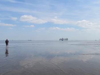 Droogavllende wadplaat met op de achtergrond de veerboot en zeilschepen