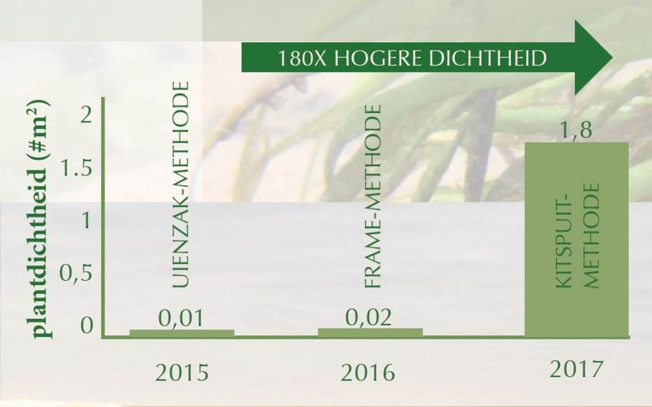 Resultaten door kopersulfaatbehandeling en kitspuitmethode (bron Van der Eijk, 2017)