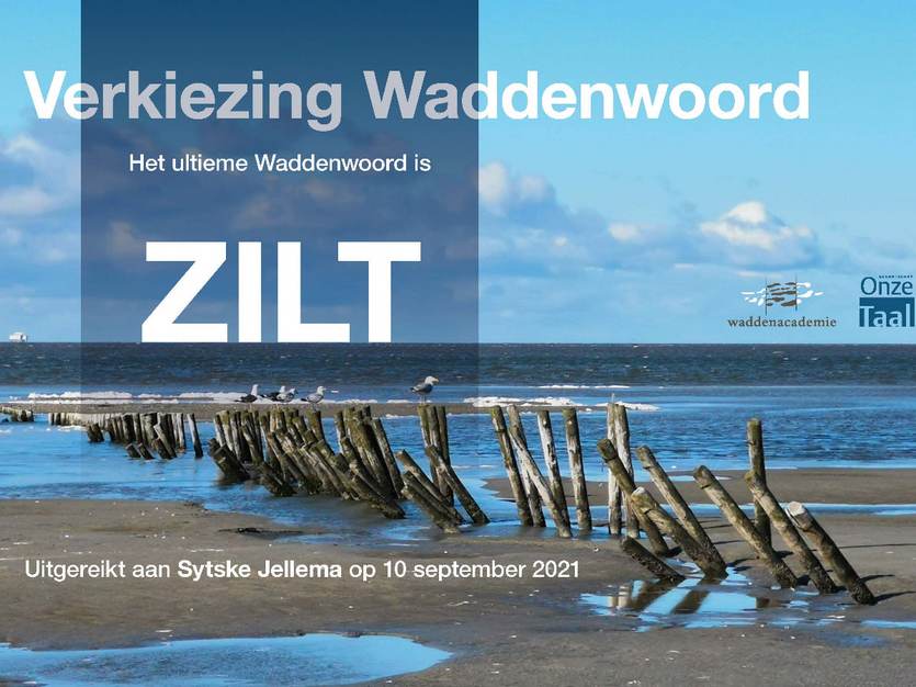 Verkiezing Waddenwoord