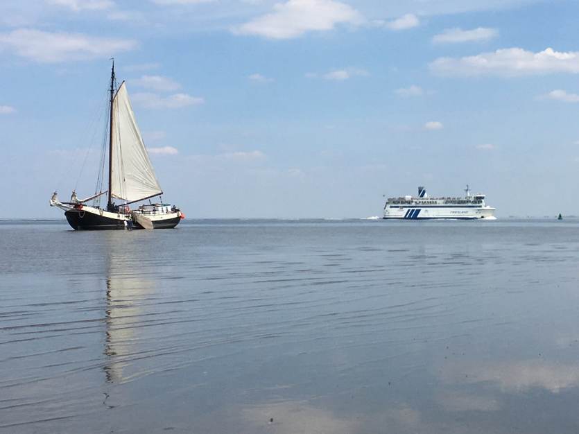 Droogvallen op het wad bij Harlingen