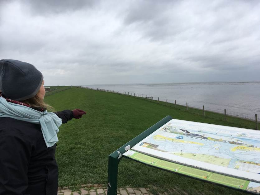 Zicht op het wad vanaf de dijk bij Moddergat