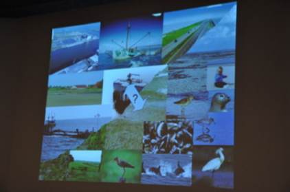 Presentatie Han Olff (RUG) project Waddensleutels
