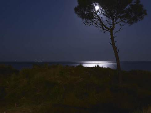 Maanlicht boven het wad. Foto: Henk Postma