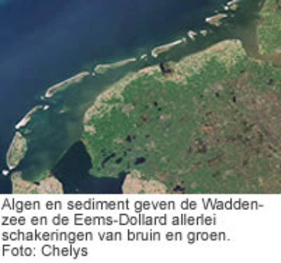 Algen en sediment geven de Waddenzee en de Eems-Dollard allerlei schakeringen van bruin en groen. Foto: Chelys