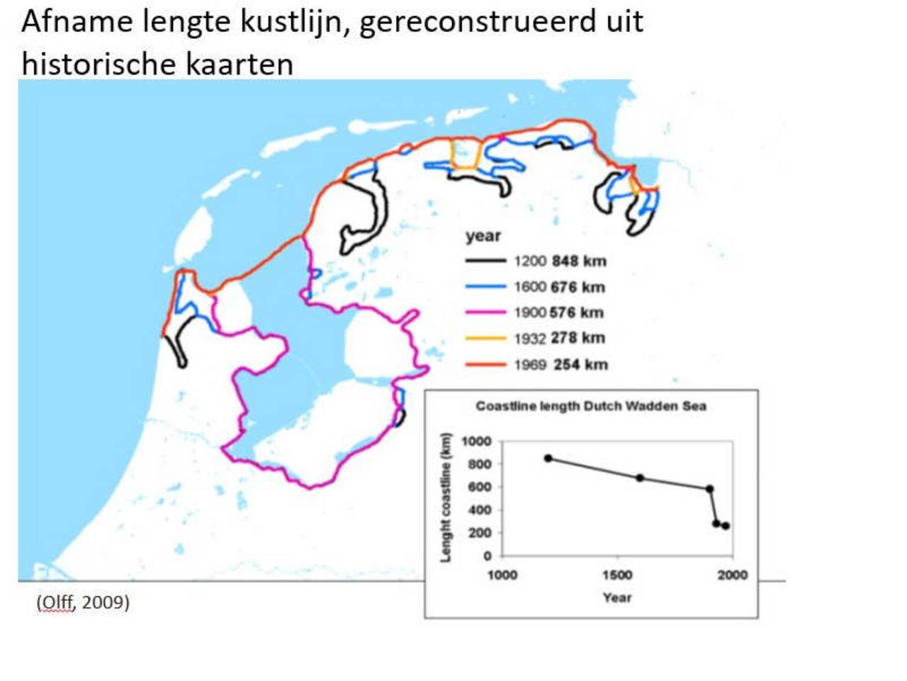 Afname lengte kustlijn, gereconstrueerd uit historische kaarten (Olff, 2009)
