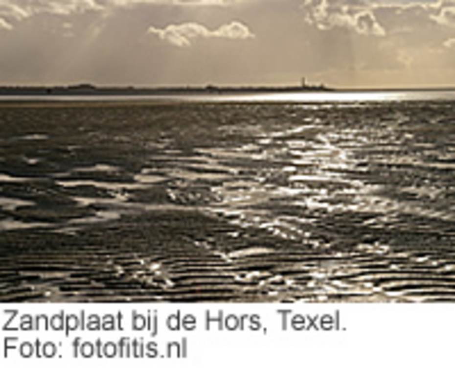 Zandplaat bij de Hors, Texel. Foto: fotofitis.nl