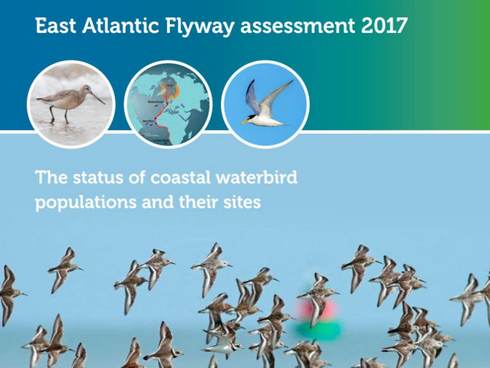 Cover rapport East Atlantic Flyway assessment 2017