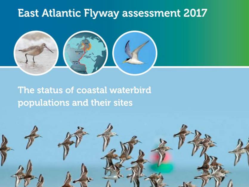 Cover rapport East Atlantic Flyway assessment 2017