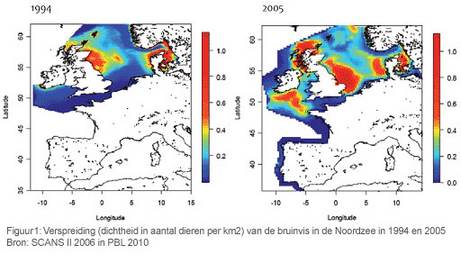 Figuur 1 Verspreiding (dichtheid in aantal dieren per km2) van de bruinvis in de Noordzee in 1994 en 2005 (SCANS II 2006 in PBL 2010)