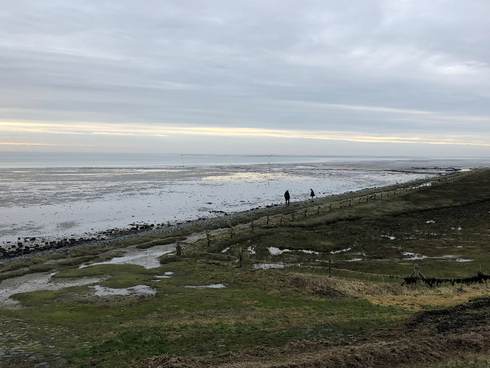 Jaarverslag Waddenacademie 2019. Foto: Jouke van Dijk