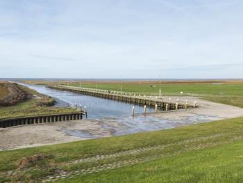 Het wad bij Noorpolderzijl. Foto: Jan Huneman