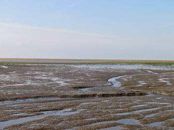 Sedimentatie op het wad bij Schiermonnikoog